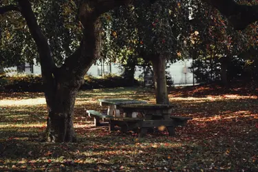 emeis clinique lautreamont loos jardin